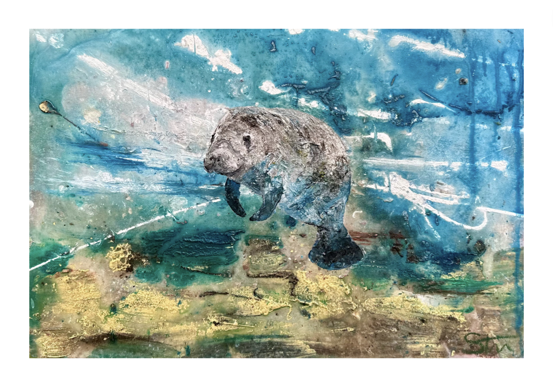 A3 Print of Manatee III